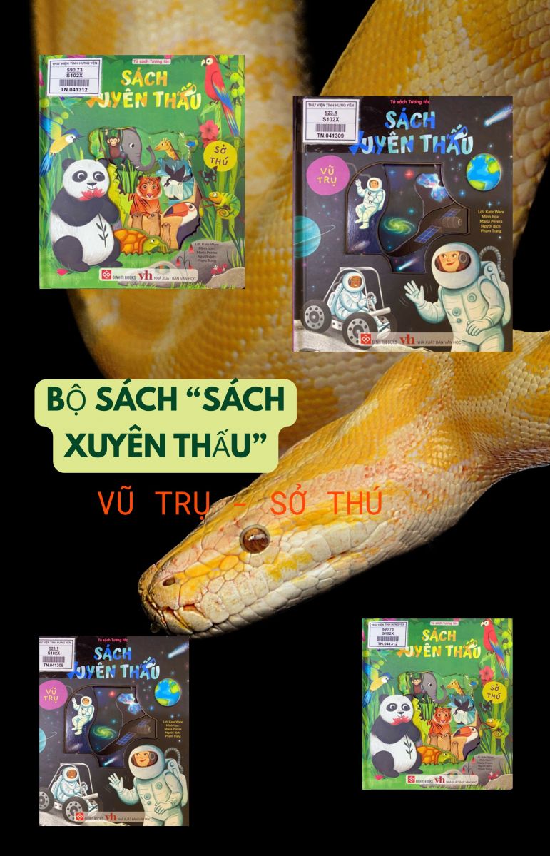 Bộ sách “Sách xuyên thấu” : Dành cho trẻ em từ 3 - 6 tuổi